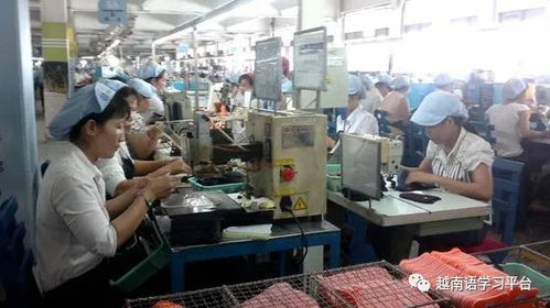 越南鞋業寒冬 老牌企業裁員近3000人，折射社會經濟深層挑戰
